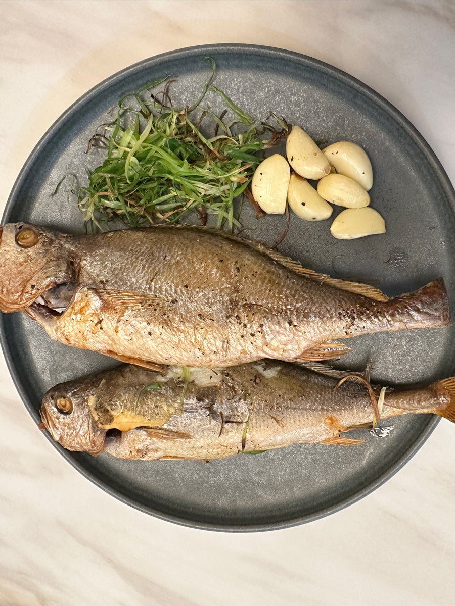 Semi Dried Yellow Croaker - Jumbo Size [반건조 굴비구이]